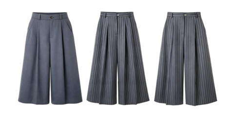 Three Different Style Women's Gray Pinstripe Wide-Leg Pants on Transparent Background for Fashion, PNG Transparent