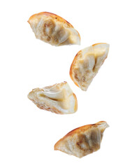Tasty roasted gyoza (dumplings) in air on white background