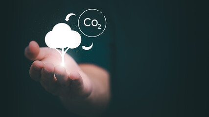 Plants must exchange carbon dioxide at night and oxygen during the day. Ideas for reducing carbon emissions for environmental conservation, green business, and sustainable environmental development.