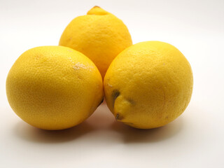 Isolated close-up of three lemon fruits (Citrus × limon) on white background. Concept: ingredients, healthy eating, cooking,