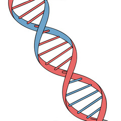 dna strand on white background