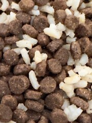 dog food
