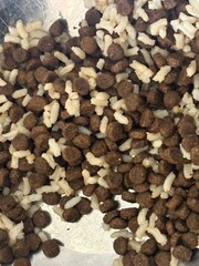 Dog kibble 