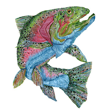 Trout painting 