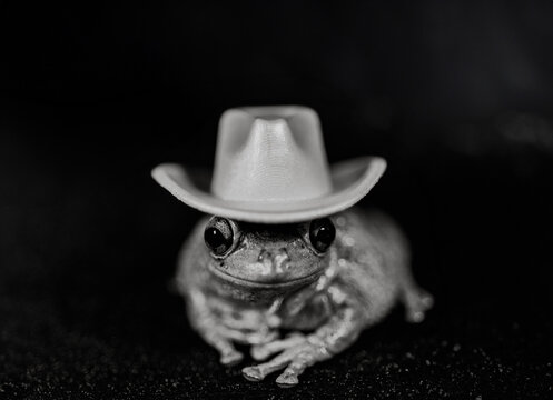 Frog in a cowboy hat 