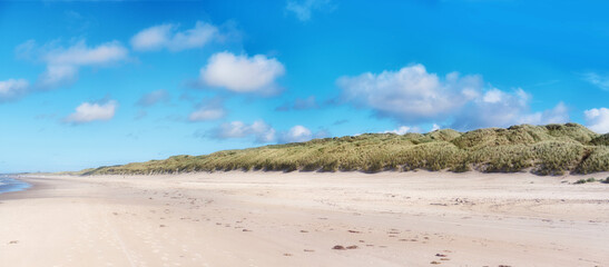 Landscape, sky and plants on beach with sand, ecosystem and sustainability in nature banner. Coast, greenery and water in panorama for outdoor travel, natural dunes or habitat on Denmark coast