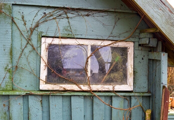 Dirt, damage or window with branches or moss of abandoned house, property or old shack. Empty,...
