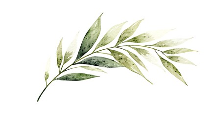 Fototapeta premium Watercolor style botanical artwork green leaves design nature minimalist aesthetic