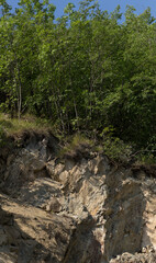 Rhodopes, are a mountain range in Southeastern Europe. Bulgaria. Panorama. The forest area covers the mountains.