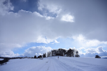 一面雪景色の冬の美瑛の丘