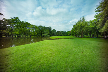Obraz premium beautiful park, green grass