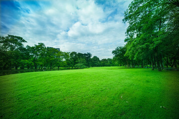 beautiful park, green grass