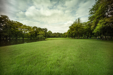 beautiful park, green grass