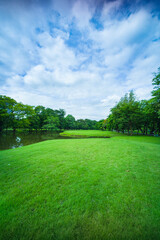 Fototapeta premium beautiful park, green grass
