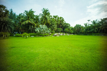beautiful park, green grass