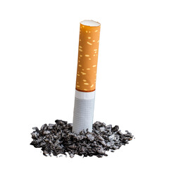 Cigarette Extinguished in Ashes on Transparent Background