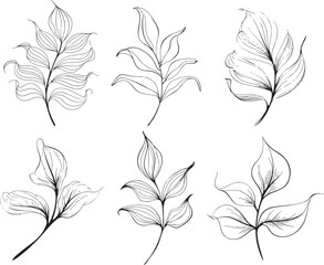 Minimalist Leaf Line Art Vector Set Botanical Sketches
