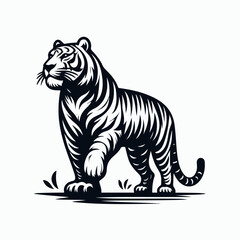 tiger vector illustration