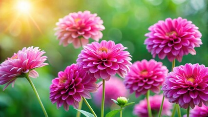 Obraz premium Vibrant pink flowers with delicate petals and a slender stem, set against a lush green background, creating a beautiful and harmonious visual composition, spring flowers, garden blooms