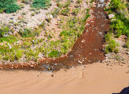 The Confluence of Bright Angel Creek and the Colorado River Near Phantom Ranch, Grand Canyon National Park, Arizona, USA