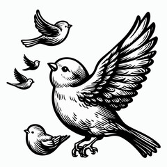 bird vector illustration