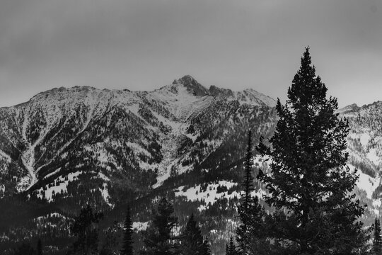 snow covered mountains