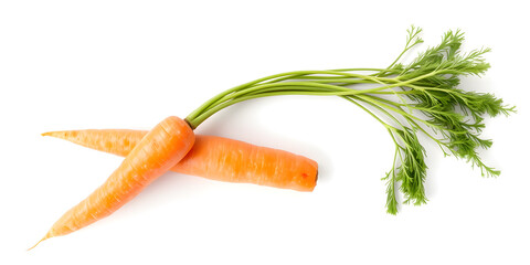 Fresh carrot isolated on white background
