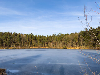 Frozen Winter Lake with Distant Pine Forest and Blue Sky