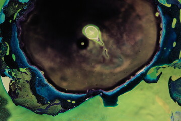 Liquid art with Ink, Paint, Mica Powder, Milk and Oils 3D