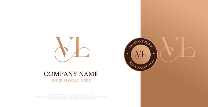 Initial VL Logo Design Vector 
