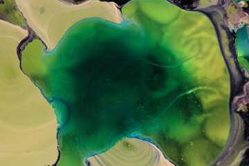 Liquid art with Ink, Paint, Mica Powder, Milk and Oils 3D
