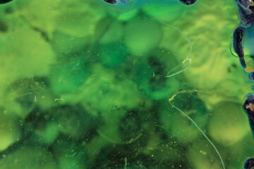 Liquid art with Ink, Paint, Mica Powder, Milk and Oils 3D