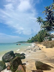 tropical beach with palm trees