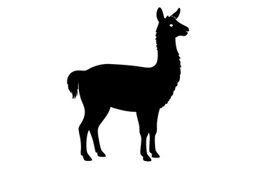 Fototapeta premium Llama silhouette