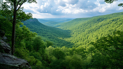 Fototapeta premium mountain slopes with lush green trees and a rugged, rocky terrain visible through the foliage 