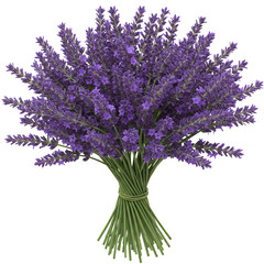 Fototapeta premium Lavender Bouquet Lush Purple Floral Arrangement Isolated Studio Shot