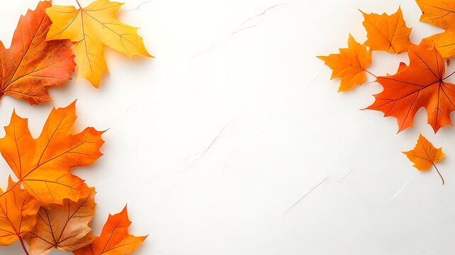 Autumn leaves falling nature photo collection seasonal beauty close-up colorful transformation