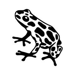 poison dart frog