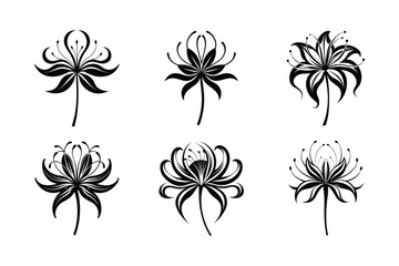 Spider Lily (Lycoris spp.) silhouette vector illustration