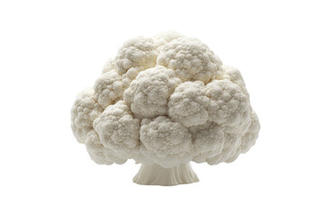 Fresh and Organic Cauliflower Head on White Background for Healthy Cooking
