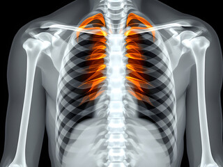 Human ribcage X-ray showing detailed bone structure, spine, and thoracic anatomy for medical imaging.