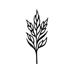 Fototapeta premium Elegant Botanical Vector Line Art Illustration