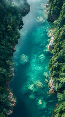 Fototapeta premium Aerial View Of Turquoise Waterway Surrounded By Lush Green Foliage