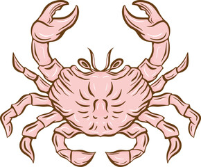 Soft Pink Crab Illustration in a Minimalist Style