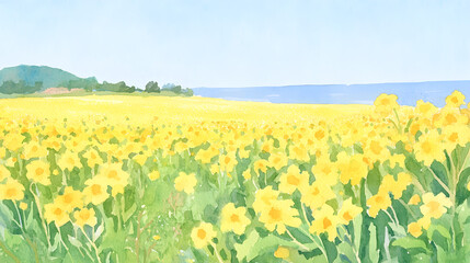 Fototapeta premium A vast mustard field in full bloom, with bright yellow flowers stretching into the horizon, Generative AI