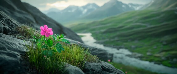 Pink wildflower blooms on a rocky cliff overlooking a serene mountain river valley landscape.