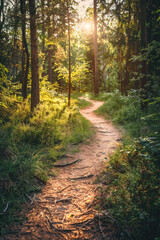 Fototapeta premium Explore a beautiful path in a vibrant green forest, surrounded by towering trees and lush green grass, perfect for hiking and nature adventures.