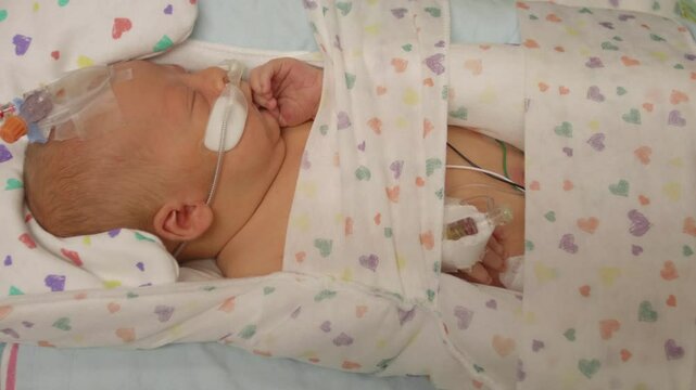 Newborn Baby Resting in the NICU