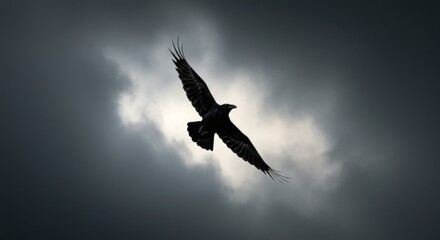 Obraz premium Raven Soaring Against a Dramatic Sky: Symbol of Freedom and Mystery