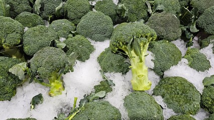 a pile of fresh broccoli displayed on ice